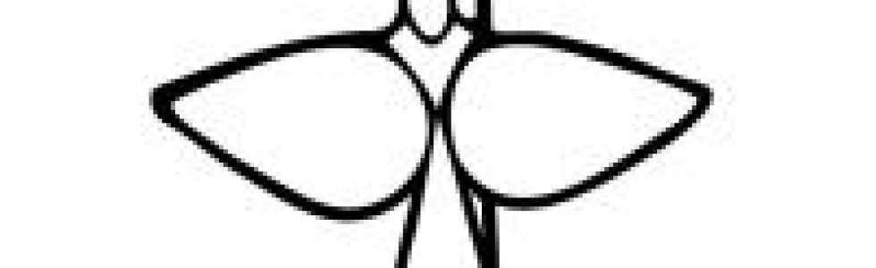 CNBB envia mensagem de condolências pelo falecimento de dom Marcelo Carvalheira